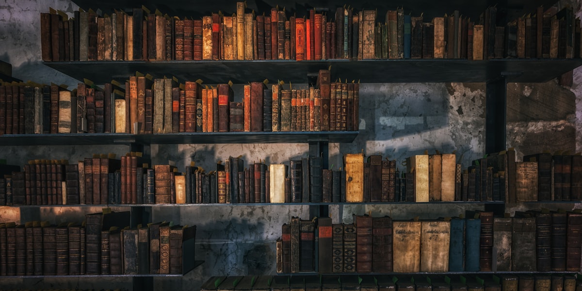 caseon.ai — Rebuilding legal research in Türkiye with AI
